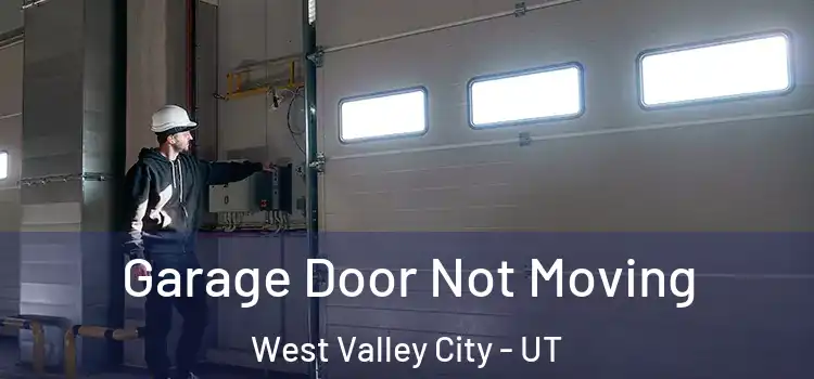 Garage Door Not Moving West Valley City - UT